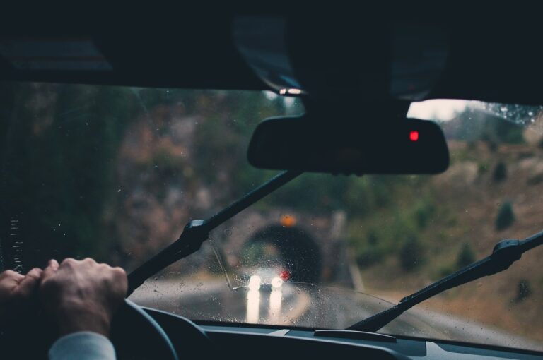 The Psychology of Car Horns: Cultural Differences and Meanings